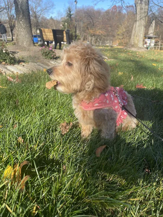 Michigan House of Paws Picture 8