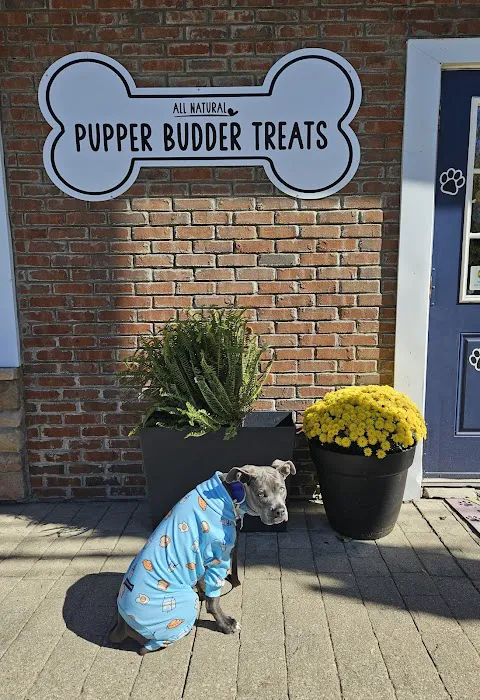 Pupper Budder Treats Picture 2