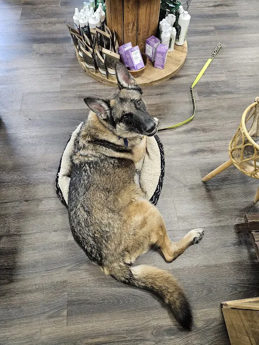 Pupper Budder Treats Picture 7