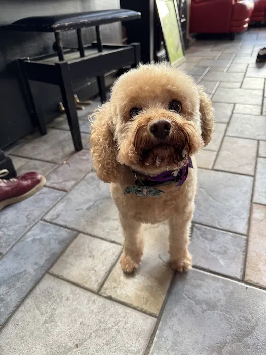 Earthwise Pet Supply & Grooming Spa-White Lake Picture 7