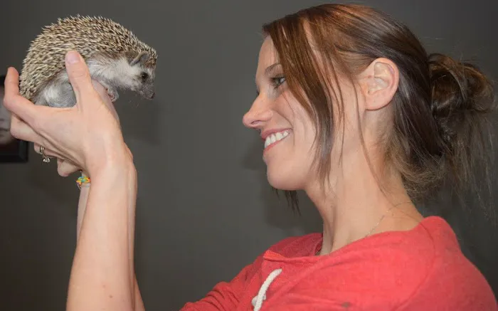 Muddy Creek Hedgehogs LLC Picture 1