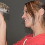 Muddy Creek Hedgehogs LLC