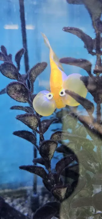 Tropical Treasures Picture 5