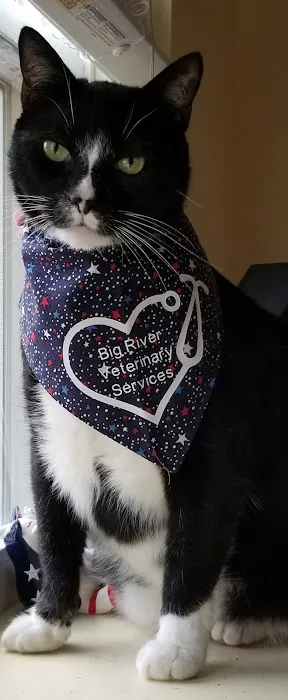 Big River Veterinary Service Picture 8