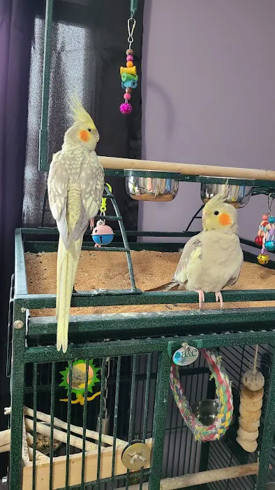 Highland Tropical Fish & Bird Haven Picture 5