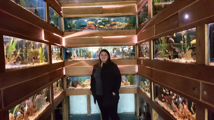 Highland Tropical Fish & Bird Haven Picture 10