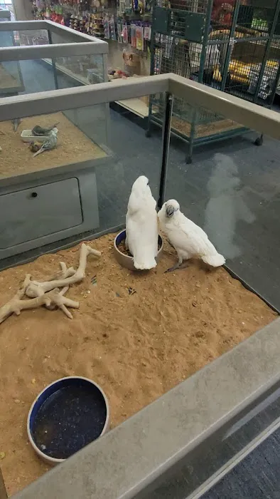 Highland Tropical Fish & Bird Haven Picture 6