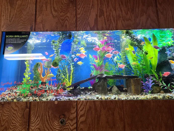 Highland Tropical Fish & Bird Haven Picture 2