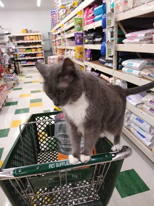 Pet Supplies Plus White Lake - Highland Picture 7