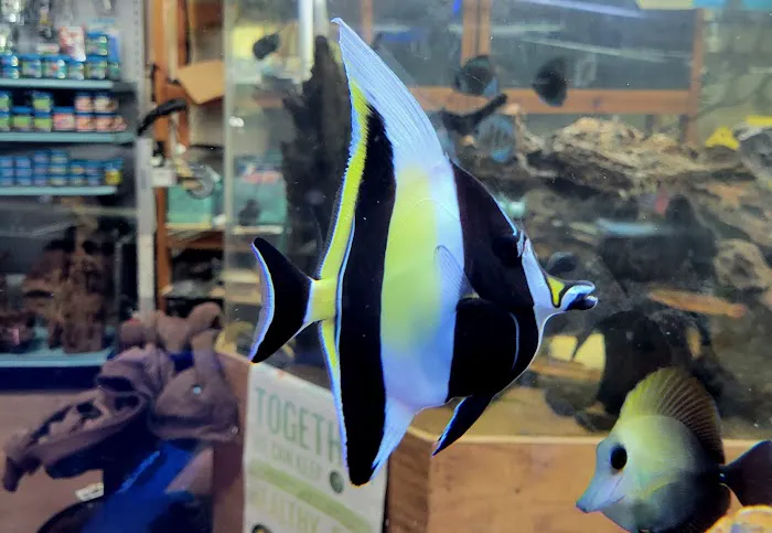 Fins & Filters -Pet Suppliers Picture 2