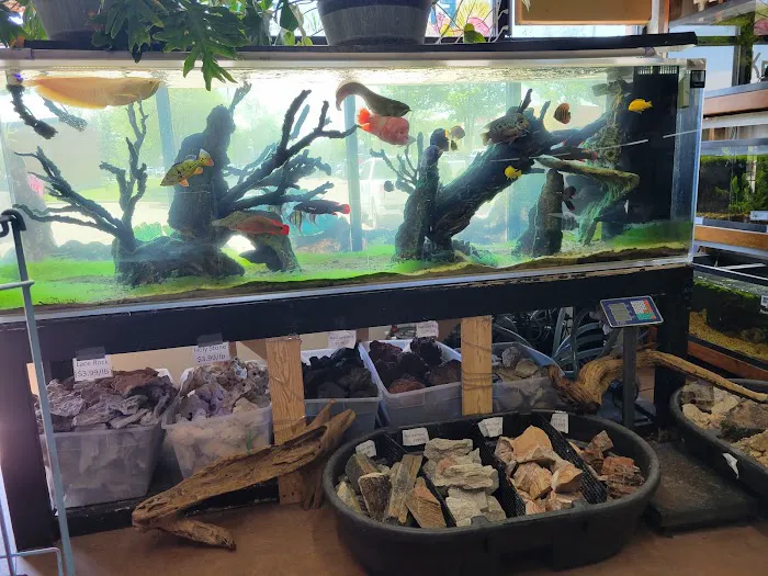 Fins & Filters -Pet Suppliers Picture 1