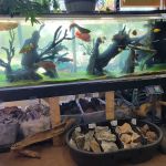Fins & Filters -Pet Suppliers