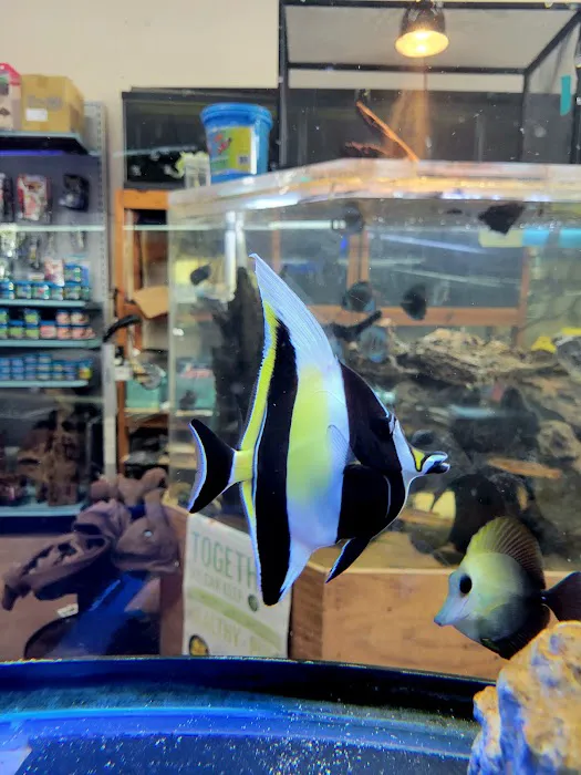Fins & Filters -Pet Suppliers Picture 8