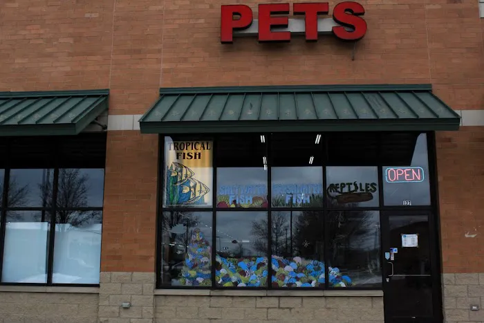 Fins & Filters -Pet Suppliers Picture 7
