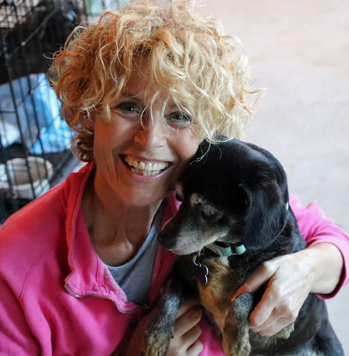 Rhode Island Pet Rehab Picture 10