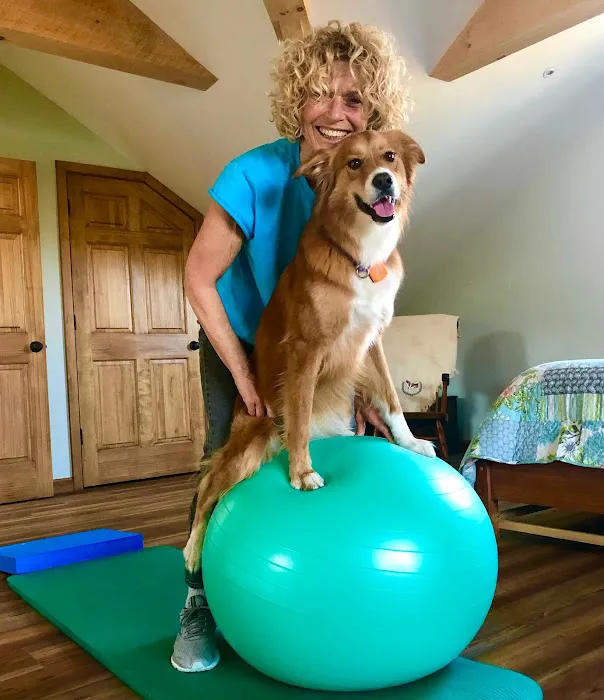 Rhode Island Pet Rehab Picture 6