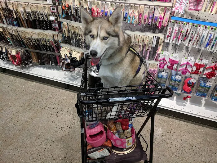 Petco Picture 9