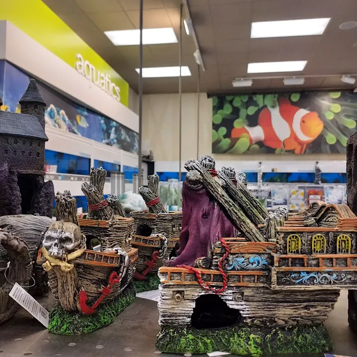 Petco Picture 5