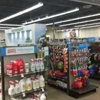 Petco ico