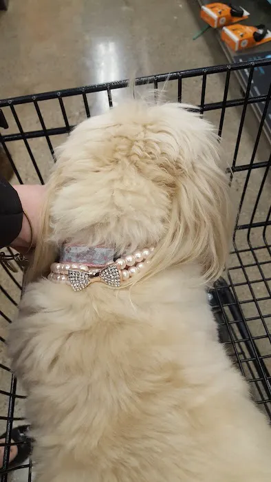 Petco Picture 3