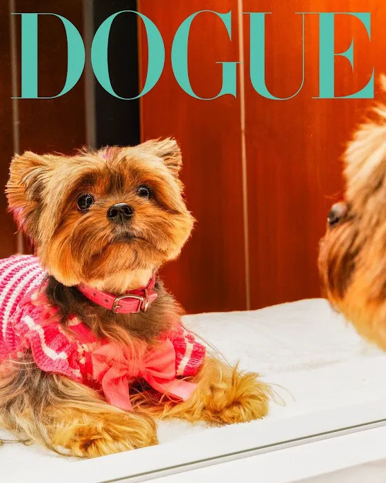 Woof Woof Puppies & Boutique Picture 3