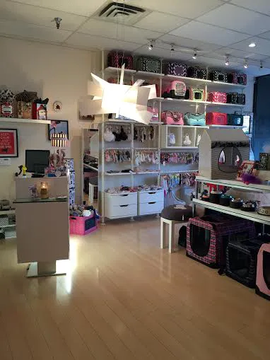 Woof Woof Puppies & Boutique Picture 2