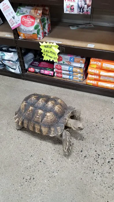 Premier Pet Supply Picture 6