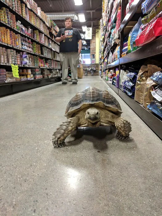 Premier Pet Supply Picture 7