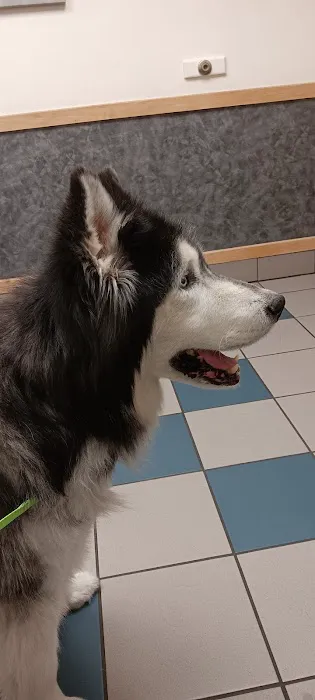 Tiogue Veterinary Clinic Picture 2