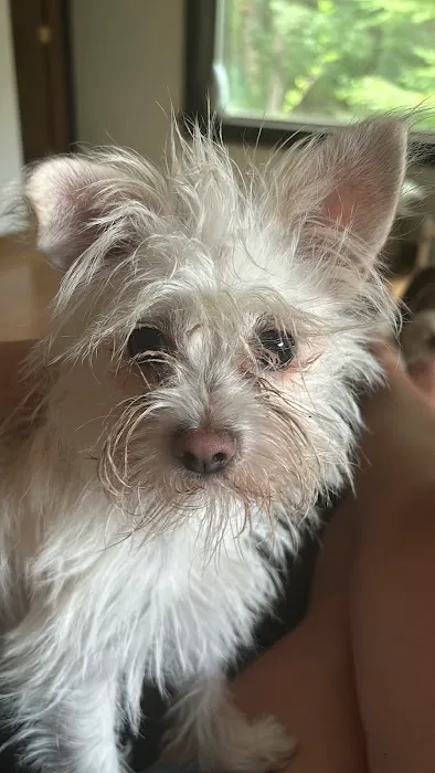 Tiogue Veterinary Clinic Picture 4