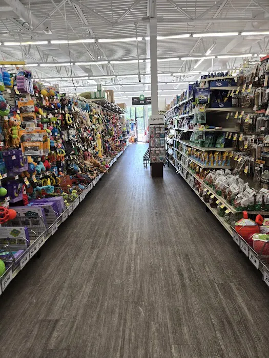 Pet Supplies Plus Royal Oak Picture 4