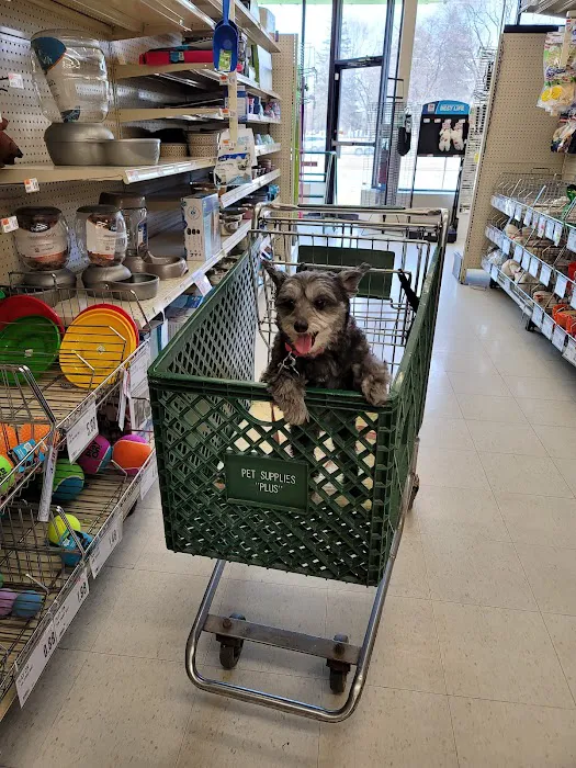 Pet Supplies Plus Royal Oak Picture 2