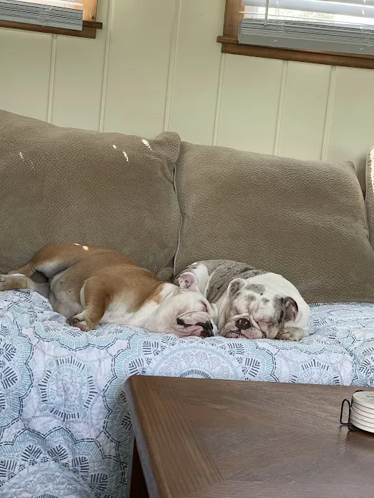 Puppygram Metro Detroit Picture 9
