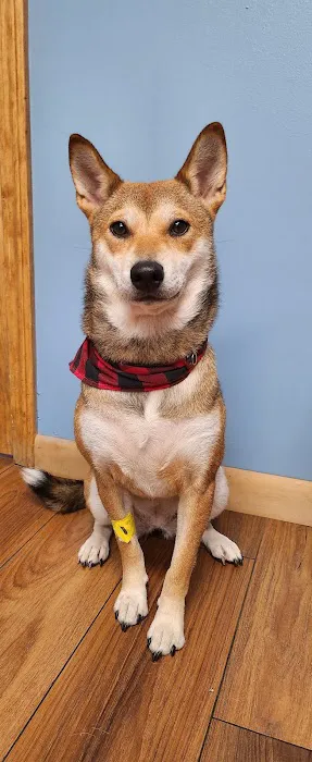 Foster Veterinary Clinic Picture 2