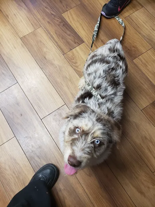 Foster Veterinary Clinic Picture 6