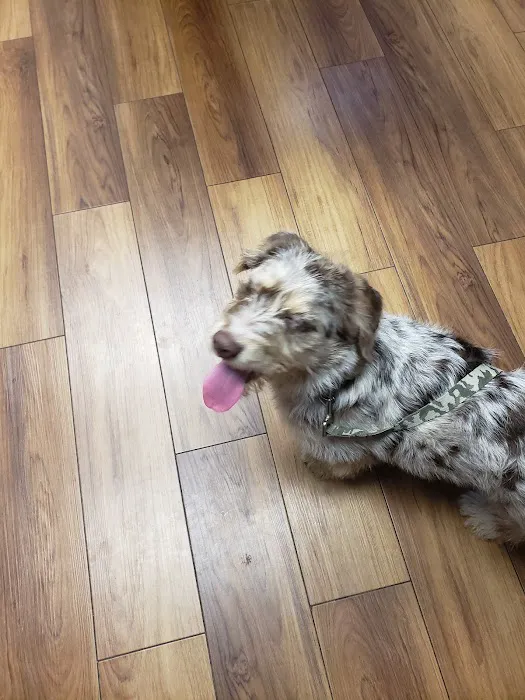 Foster Veterinary Clinic Picture 8