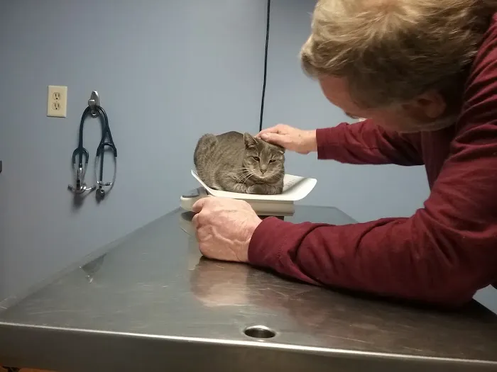 Foster Veterinary Clinic Picture 9