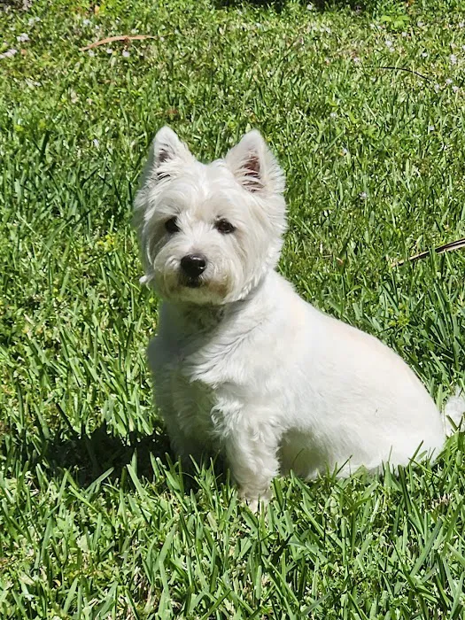 Hope Veterinary Care Picture 10