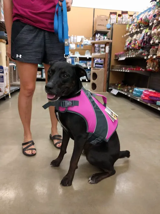 Petco Picture 8