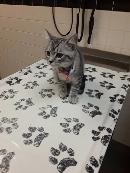 Fox Memorial Clinic Picture 6