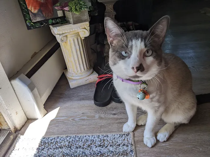 Connecticut Veterinary Center Picture 8