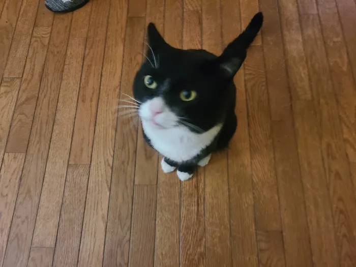Connecticut Veterinary Center Picture 4