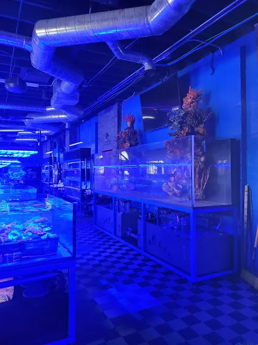 Detroit Reef Club Picture 6
