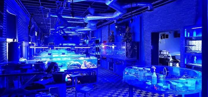 Detroit Reef Club Picture 7
