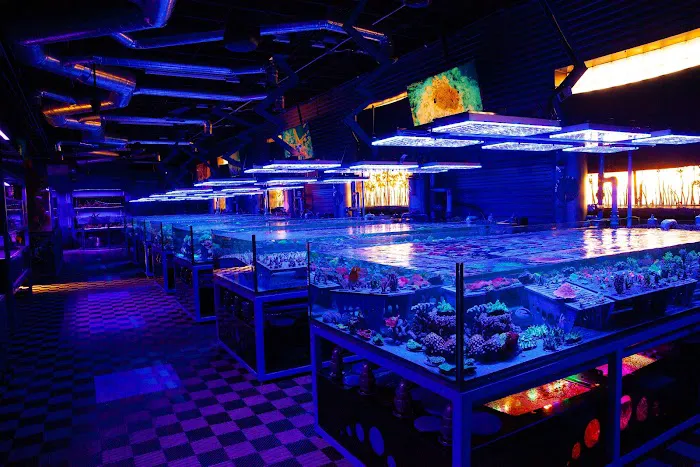Detroit Reef Club Picture 10