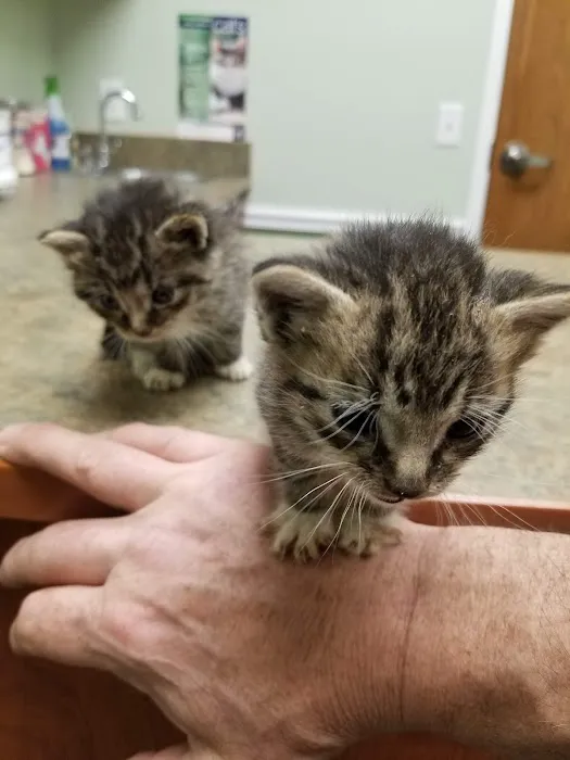 River Road Veterinary Center Picture 1
