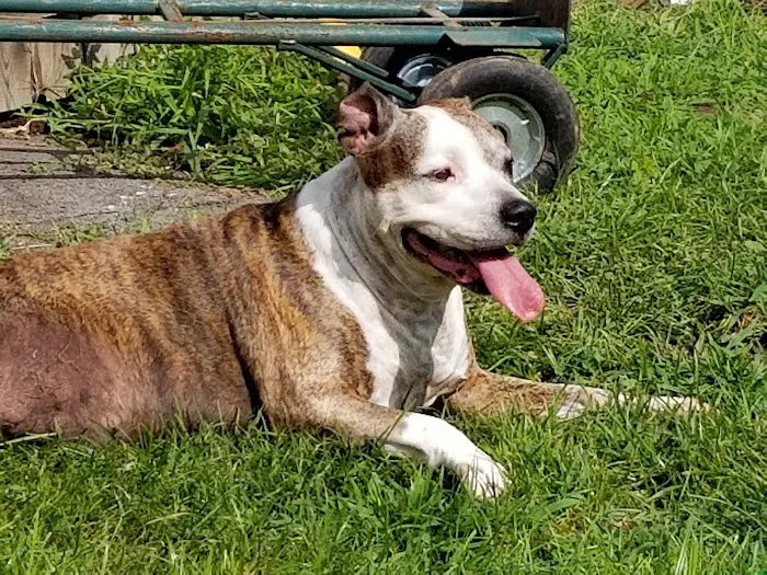 River Road Veterinary Center Picture 10