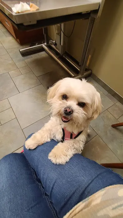 River Road Veterinary Center Picture 6