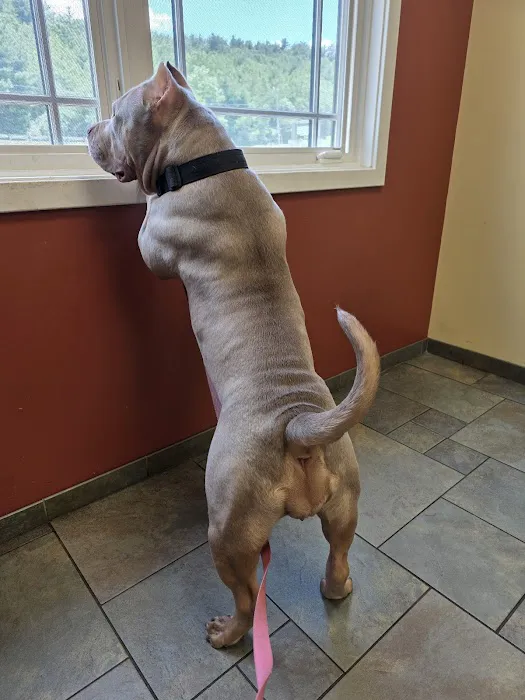 River Road Veterinary Center Picture 3