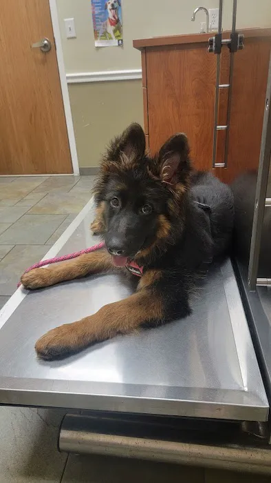 River Road Veterinary Center Picture 4
